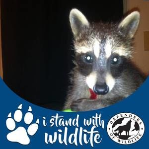 Meet your Posher, Dee